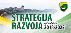 strategija-razvoja